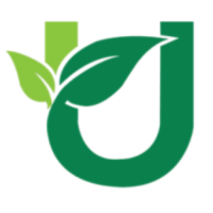 cropped Hotel Utopia Digha